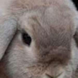 Meet your Posher, Georgia